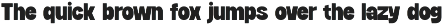 Raili - Retro Sans Serif Font preview