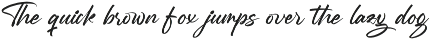 Mention Roberto Modern Brush Font preview