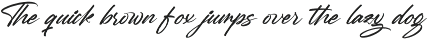 Mention Roberto Modern Brush Font preview