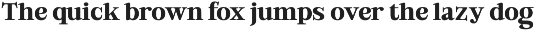 Bold Dignify - Minimalist Calm Serif preview