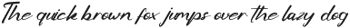 Dashing Twist - Modern Script preview