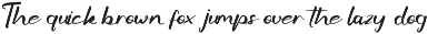 Dashing Twist - Modern Script preview