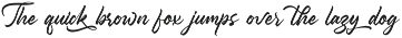 Monetz Clakson Bold Calligraphy Font preview