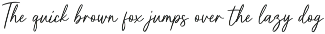 Purelines - Calligraphy Font preview