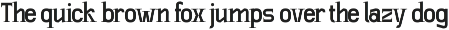 SLTF Winner Baroque - Ligature Serif preview