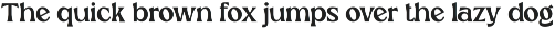 Arinza - Ligature Serif Font preview