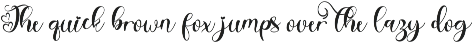 Valentine Delion Monogram preview