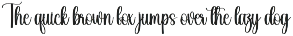 Alphabet | Script Font preview