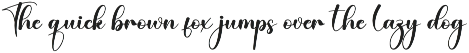 Branding | Script Font preview