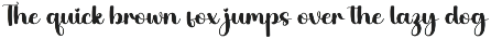 Tiger | Script Font preview
