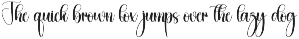 Dingbat | Script Font preview