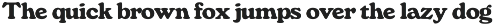 Monstera - Delicious Retro Serif preview