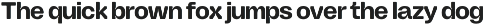 Aether Neue — Variable Inktrap Sans preview