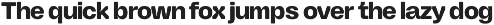 Aether Neue — Variable Inktrap Sans preview