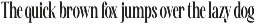 Awesome Shorten Tall Serif Display preview