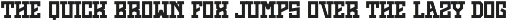 Strange Memory - Vintage Slab Serif preview
