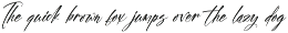 Skyerting Bold Handwritten Font preview