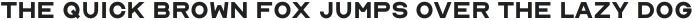 NORD Bold otf (700) Sample