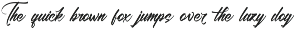 Black Fatal Brush Calligraphy Font preview