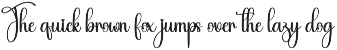 Holiday | Script Font preview