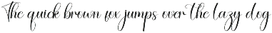 Pudding | Script Font preview
