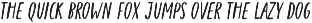 Timeless Elegance quirky serif preview