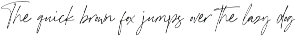 Photoshape preview