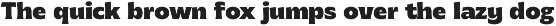 403 Bulchy preview