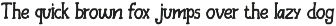 Runners Society Retro Serif Font preview