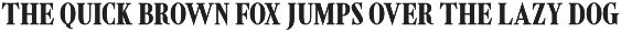 Shorelot – Timeless Serif preview