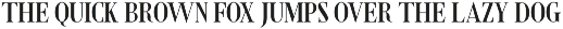 Shorelot – Timeless Serif preview