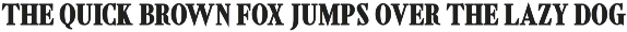 Shorelot – Timeless Serif preview
