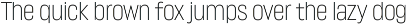 Lütschine Font Mega Family preview