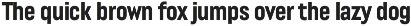 Lütschine Font Mega Family preview