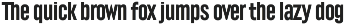 Lütschine Font Mega Family preview