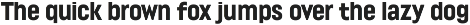 Lütschine Font Mega Family preview