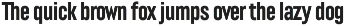 Lütschine Font Mega Family preview