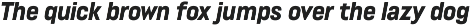 Lütschine Font Mega Family preview