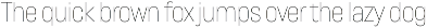 Lütschine Font Mega Family preview