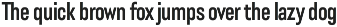 Lütschine Font Mega Family preview