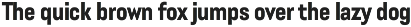 Lütschine Font Mega Family preview
