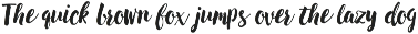 Sun Kissed Brush Font preview