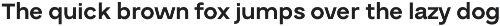 Buvera Modern Sans Serif preview