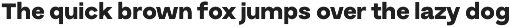 Buvera Modern Sans Serif preview