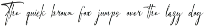 Harfey Lim Classic Signature Script preview