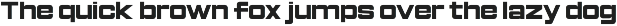 Nextra - Sports Futuristic Font preview