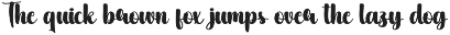 Summer Retro | Script Font preview