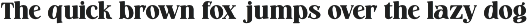 Marble Capital Bold Serif Font preview