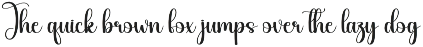 Starkey | Script Font preview