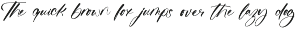 Griftons Jecthor Stylish Handwritten preview